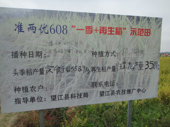 2013.10.07ʡ(hu)hF(xin)